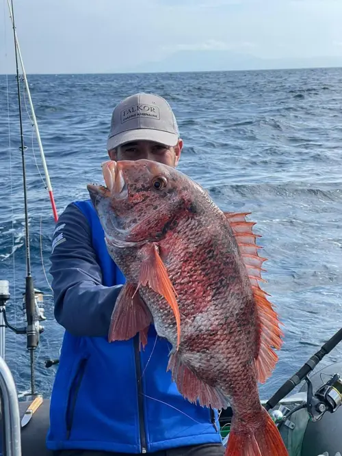 Angler in a cap holding a red porgy caught offshore during a fishing trip in Marbella