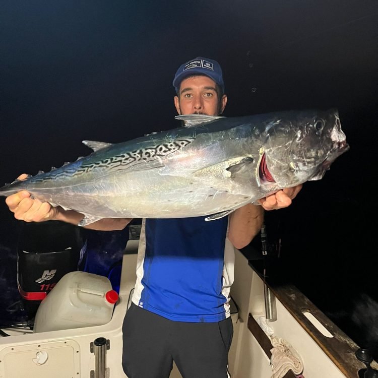 Tuna fishing in Marbella